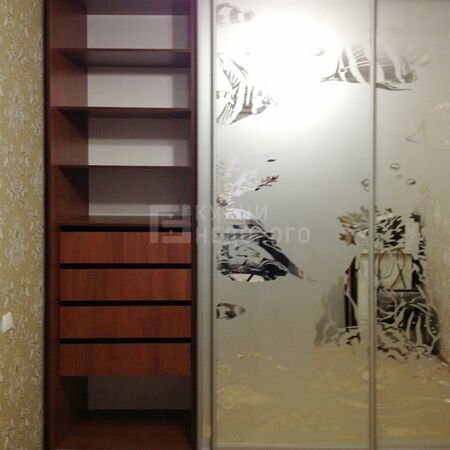 Шкаф-купе Пирна - фото 2