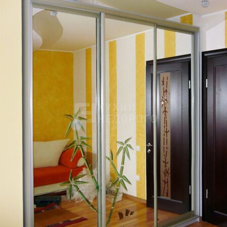 Шкаф-купе Таос