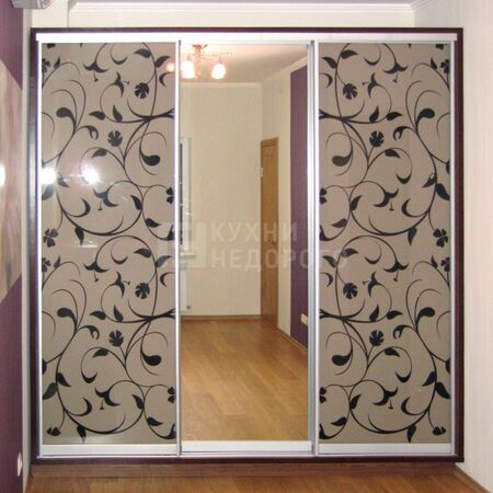 Шкаф-купе Байонна - фото 2