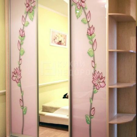 Шкаф-купе Пеория