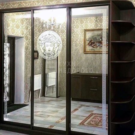 Шкаф-купе Ментор