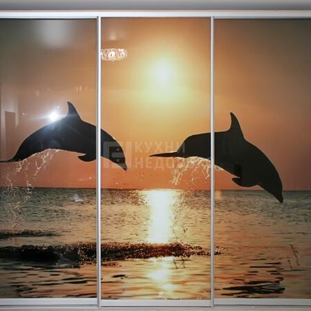 Шкаф-купе Маллинс