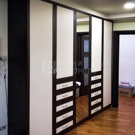 Шкаф-купе Форсайт