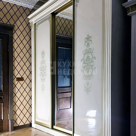 Шкаф-купе Карлин