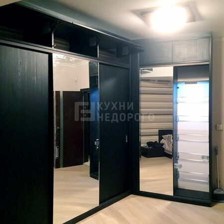 Шкаф-купе Питерс - фото 2