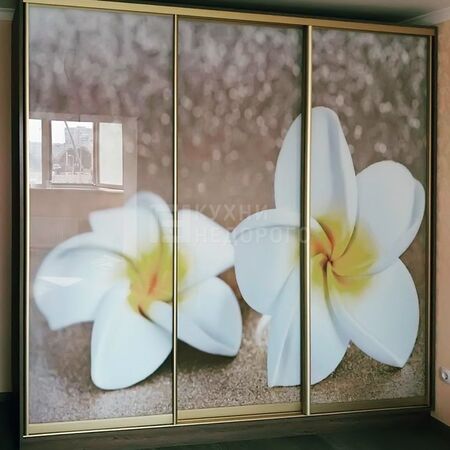 Шкаф-купе Фолс