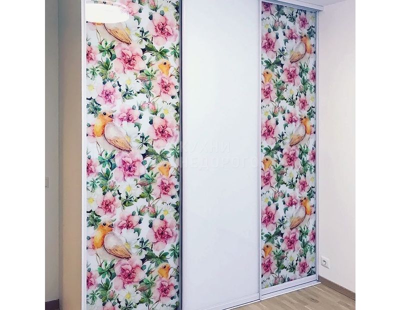 Шкаф-купе Флорина