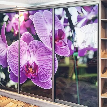 Шкаф-купе Флауэр