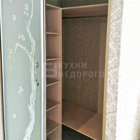 Шкаф-купе Ипполит - фото 2